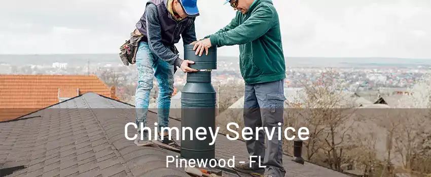  Chimney Service Pinewood - FL