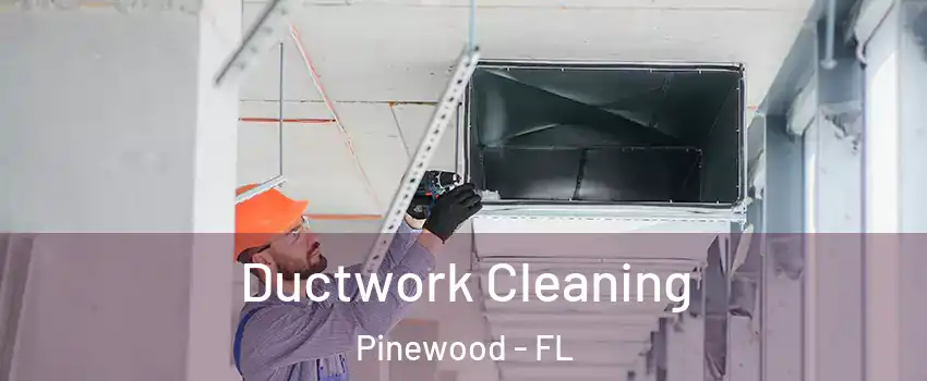  Ductwork Cleaning Pinewood - FL