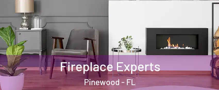  Fireplace Experts Pinewood - FL