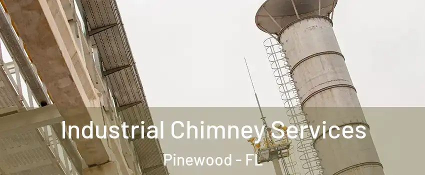  Industrial Chimney Services Pinewood - FL