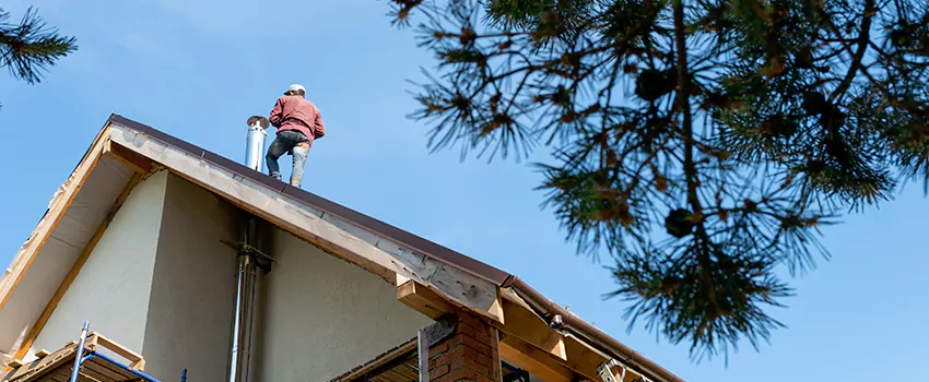 Birds Removal Contractors from Chimney in Pinewood, FL