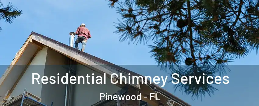  Residential Chimney Services Pinewood - FL