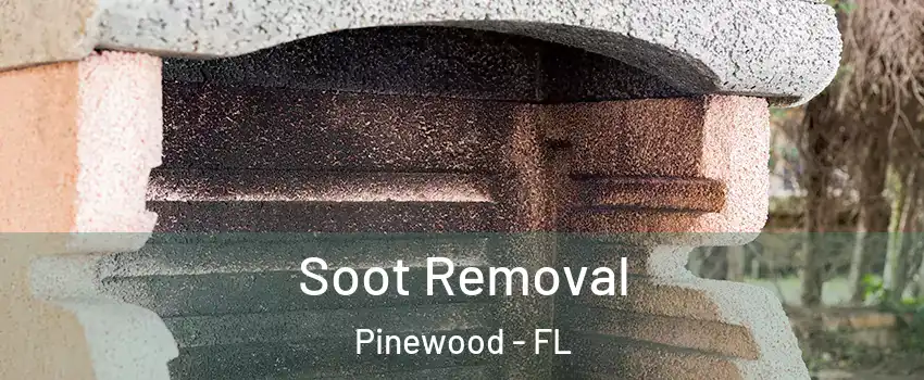  Soot Removal Pinewood - FL